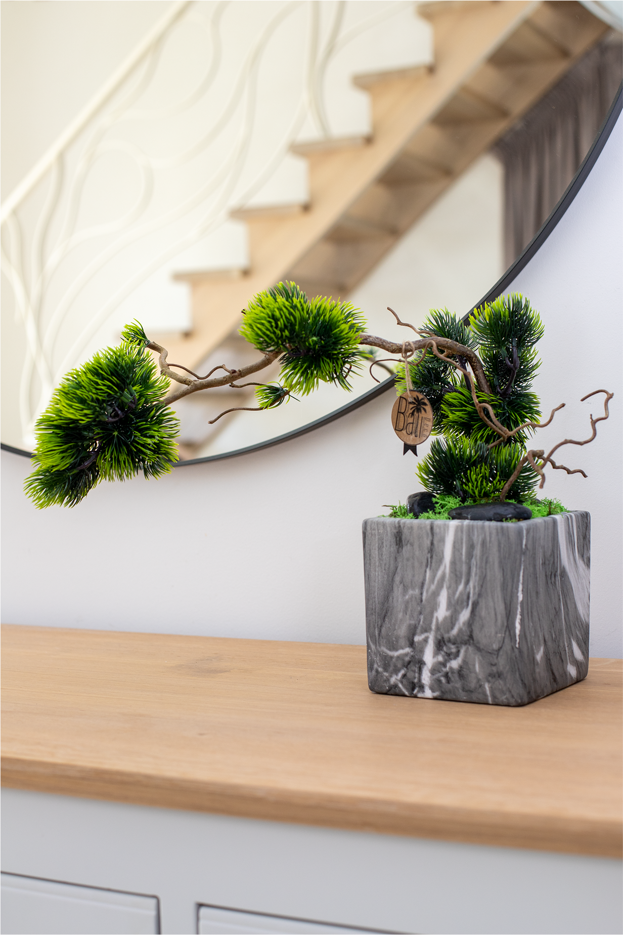 Bonsai Tree "Cliff "