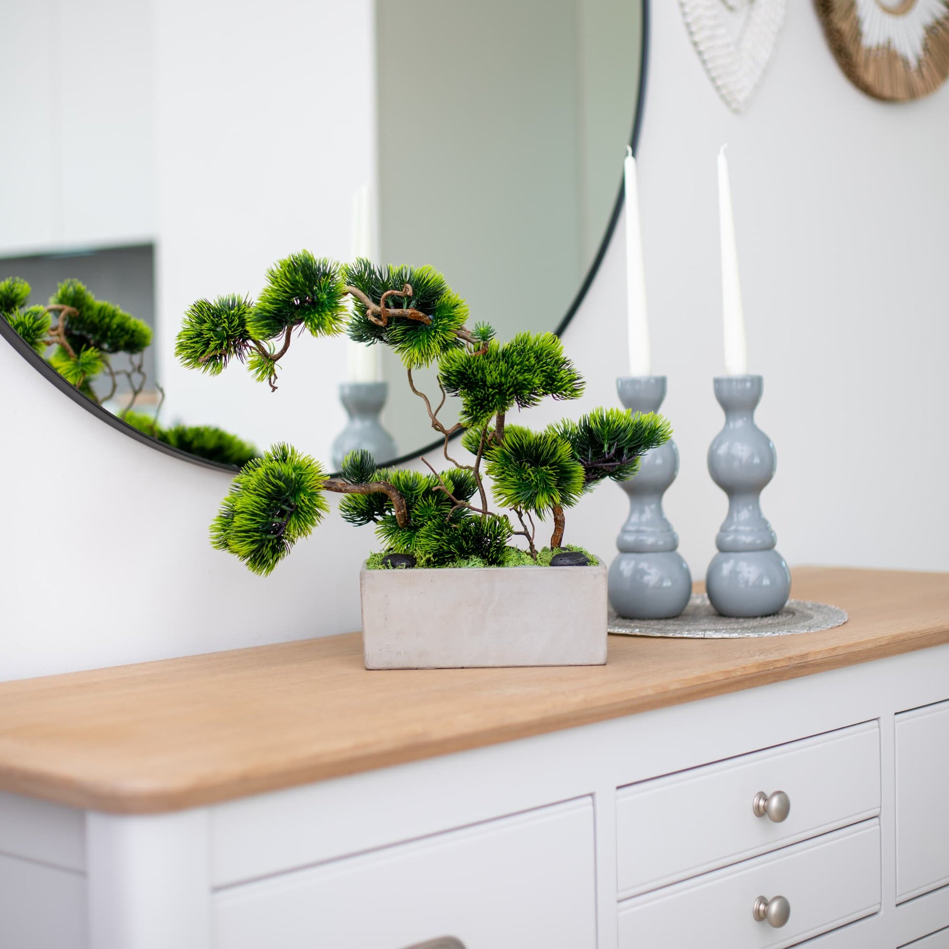 Bonsai Tree "Modern"