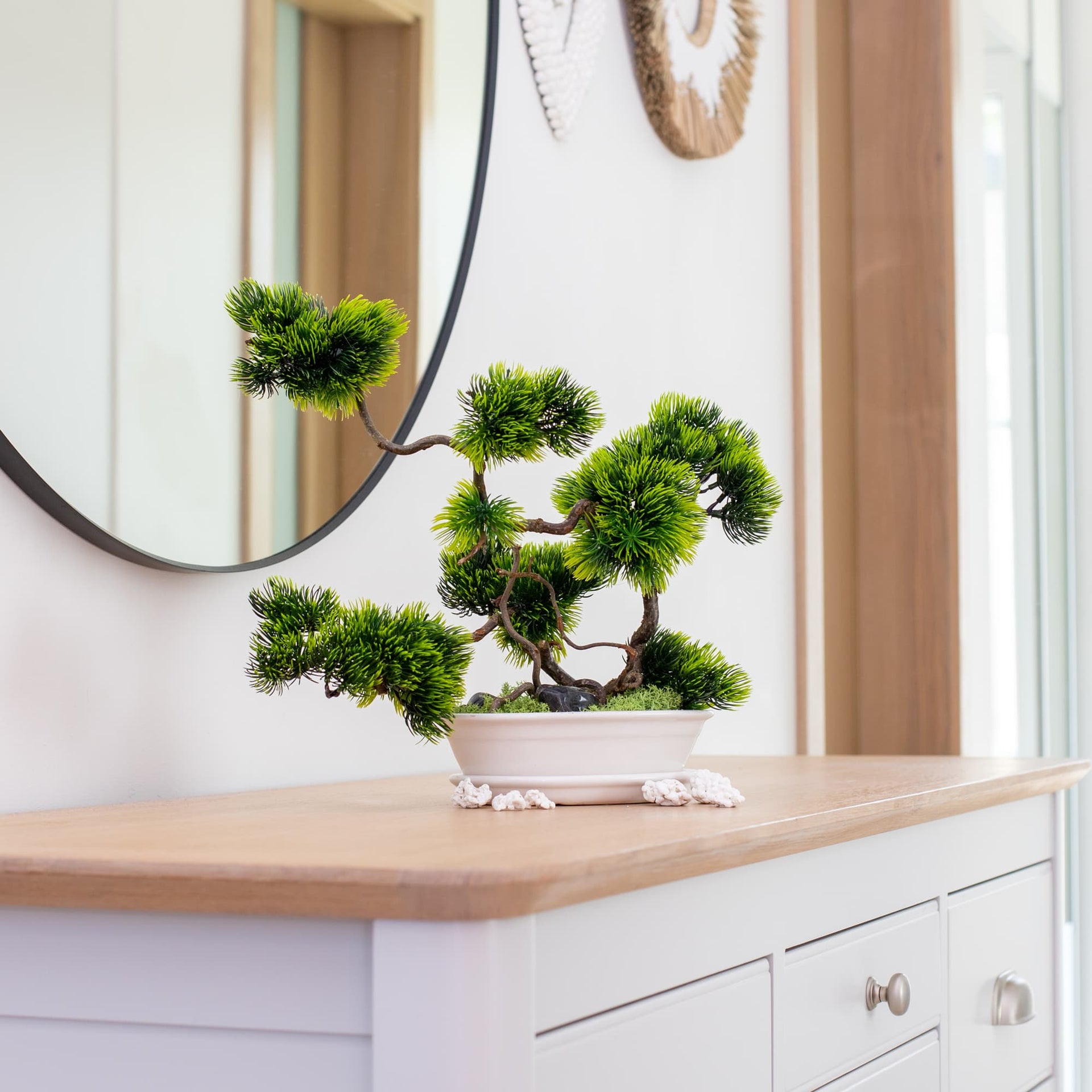 Bonsai Tree "Sand"