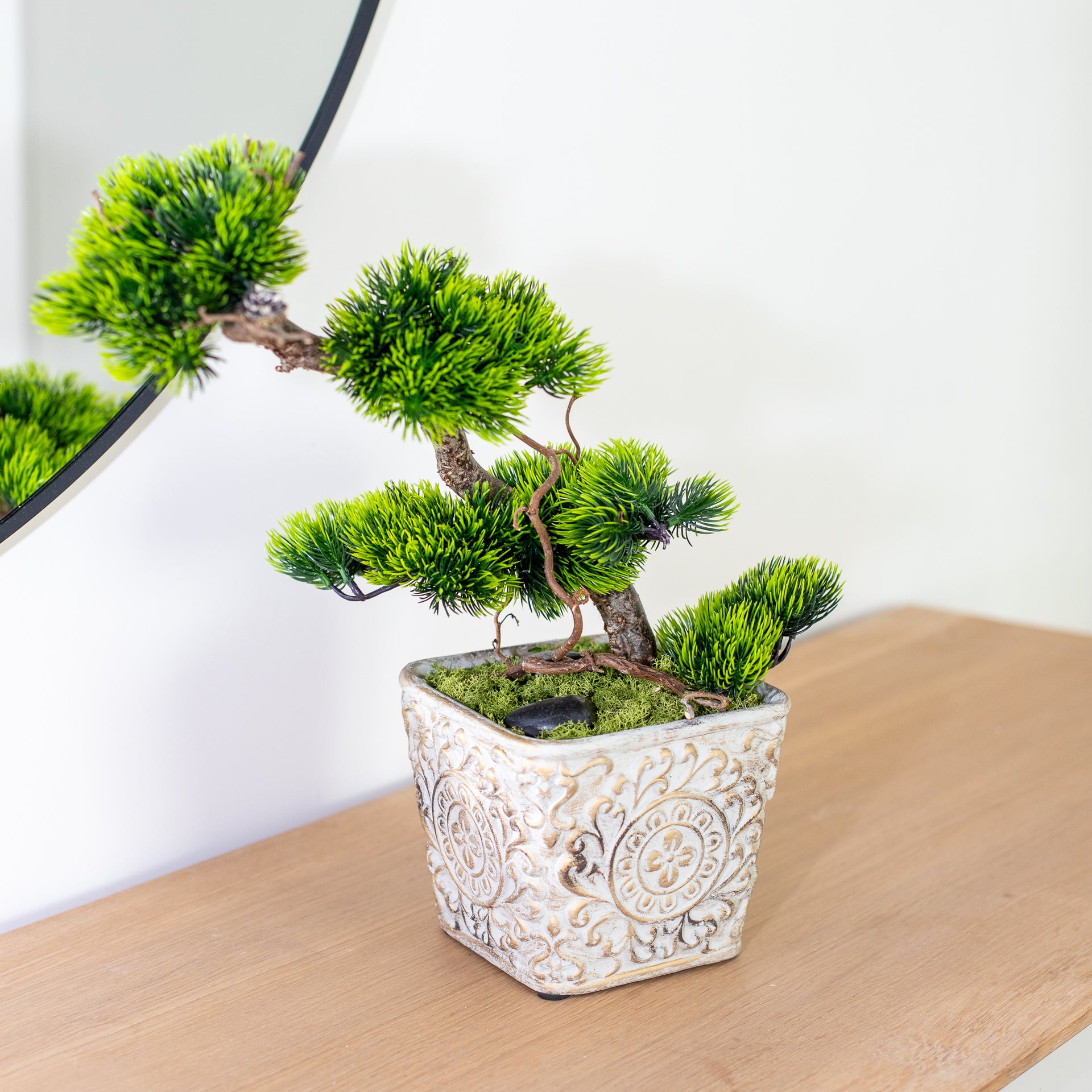 Bonsai Tree "Modern"