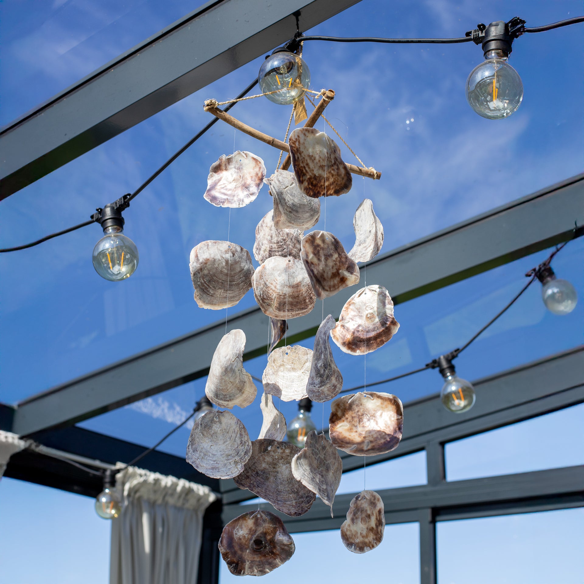 Kapizo Kriauklių Vėjo Varpelis „Muzika"