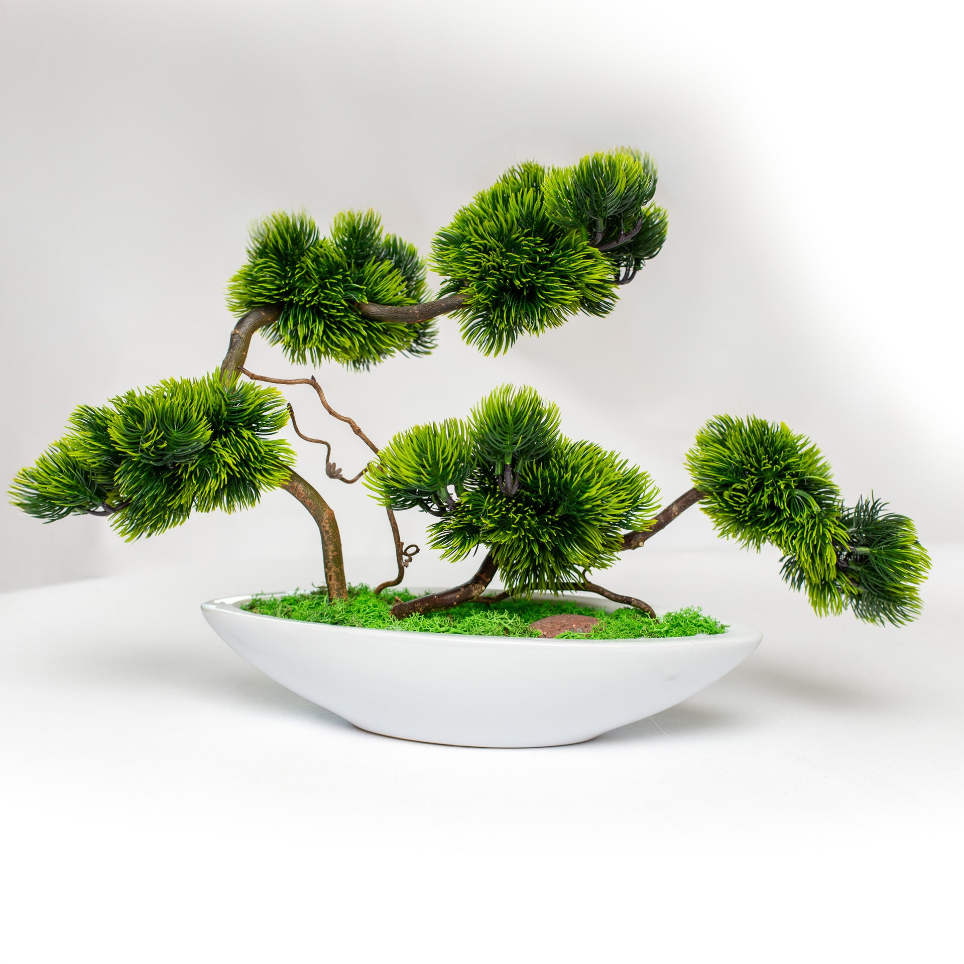 Bonsai Medelis "Rytų Tyla“