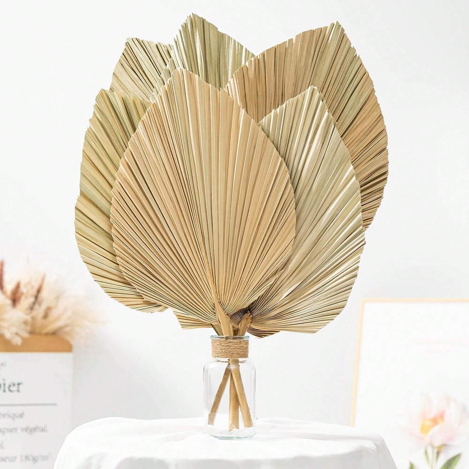 Palm Leaves “Ghost”